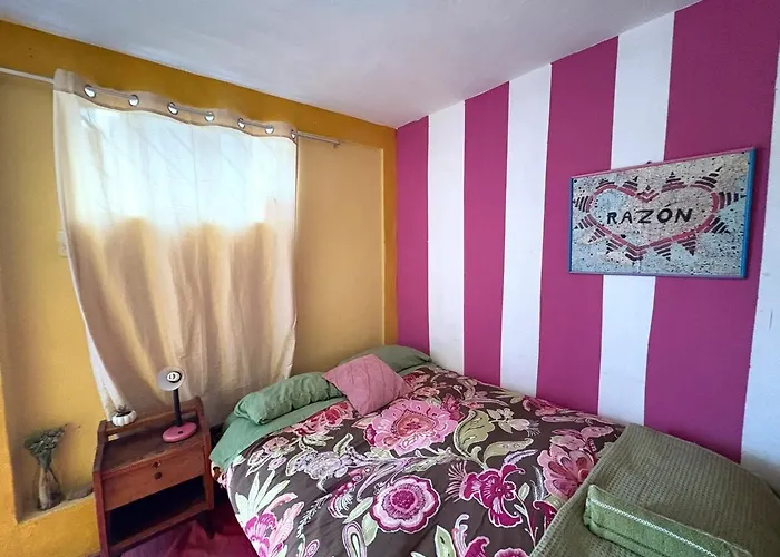 Super Cute Affordable Mini Apt, San Blas *