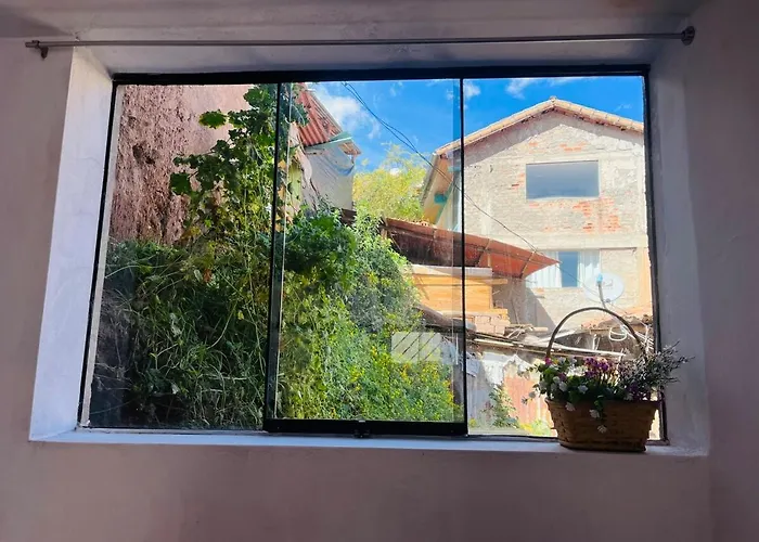 Super Cute Affordable Mini Apt, San Blas Apartment